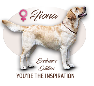Labrador retriever Exclusive Edition You´re The Inspiration